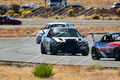 media/Nov-16-2024-Extreme Speed (Sat) [[6587d07cc4]]/Red Group/Session 2 (Turns 3 and 5)/